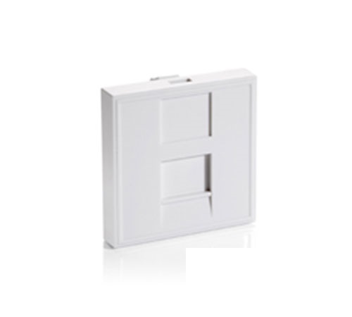 قاب پریز شبکه ایکوییپ 2 پورت  Face Plate EQUIP