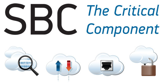 تجهیزات امنیت ویپ نیوراک SBC Voip  Protection